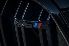 BMW X6M