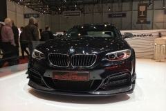 GIMS - 2017 - AC SCHNITZER